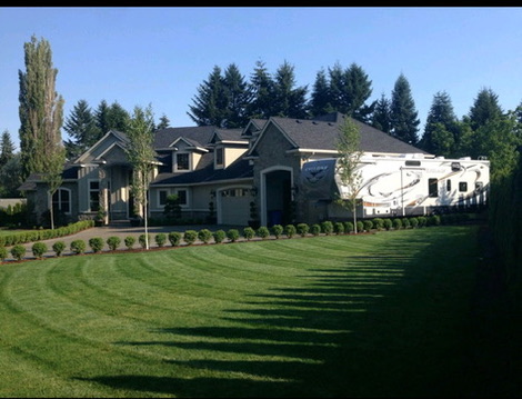 Mirella's lawn mowing stripes and edge maintenance on residential estate