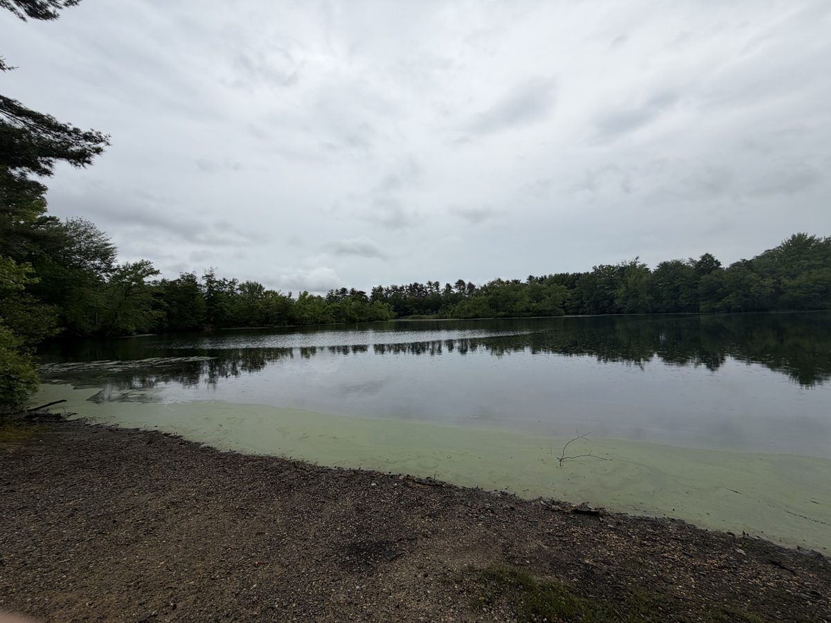 Dallenbach Lake and East Brunswick township trails