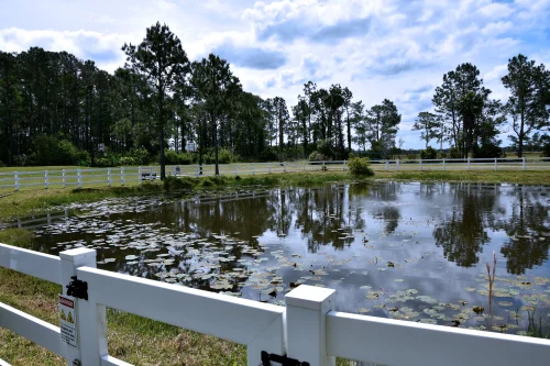 Hero's Mile grounds in DeLand, Florida showing tranquil pond with lily pads and white fencing