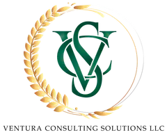 Ventura Consulting Solutions, Consulting