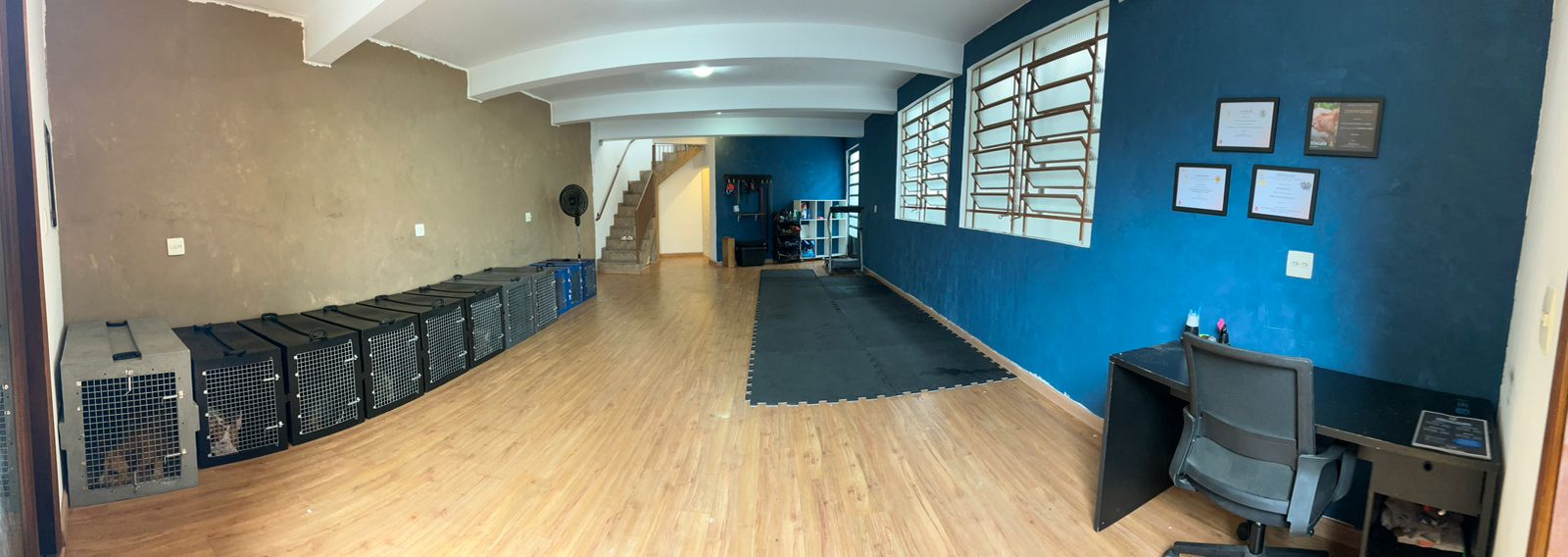 Espaço interno e caixas de acomodação para os cães no internato da Elite Dog Trainers