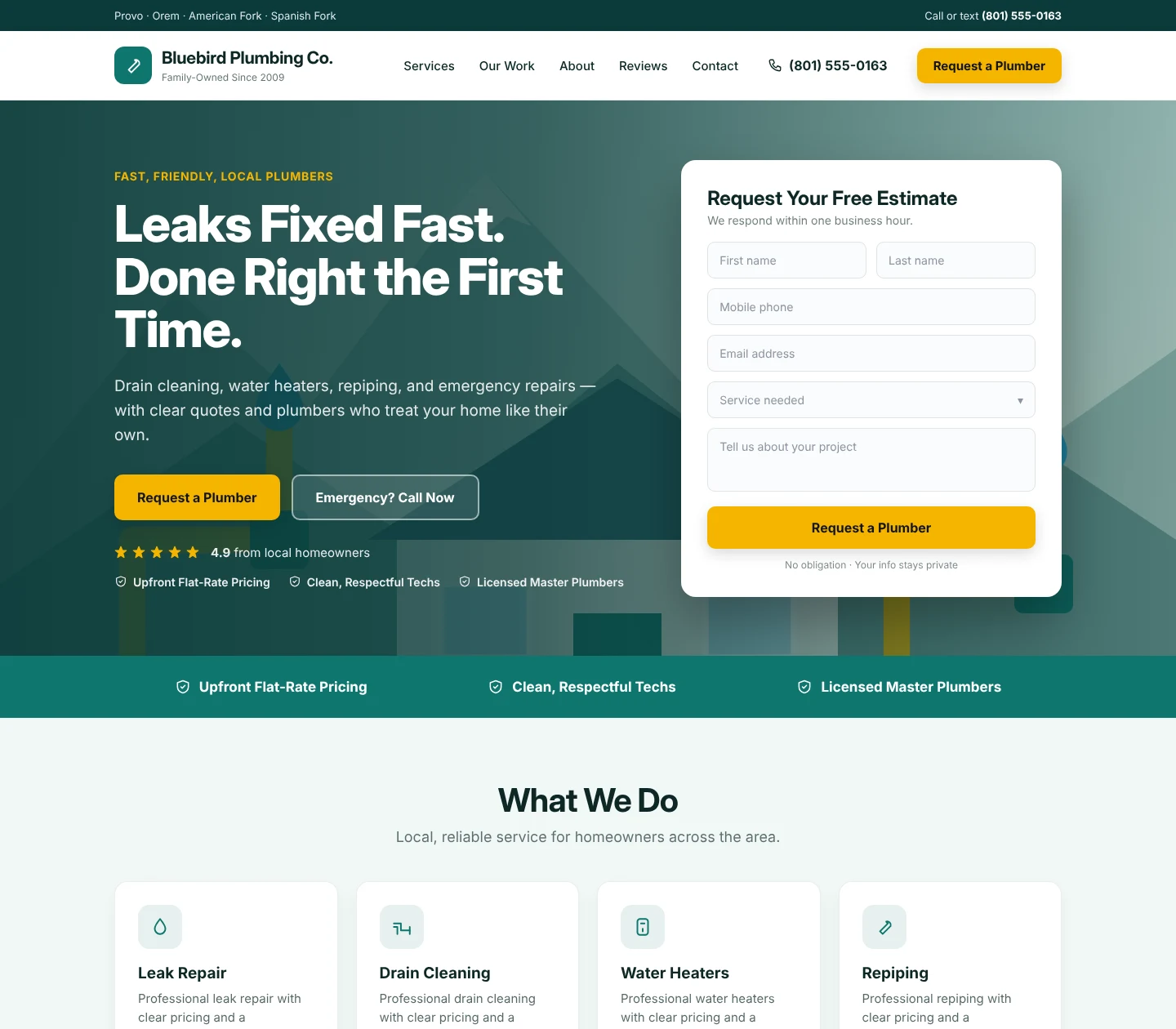 Sample plumbing company website homepage design