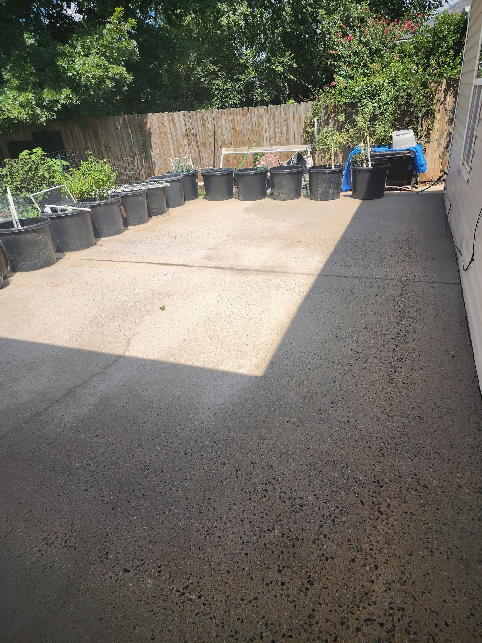 After O'Donnells Elite Clean