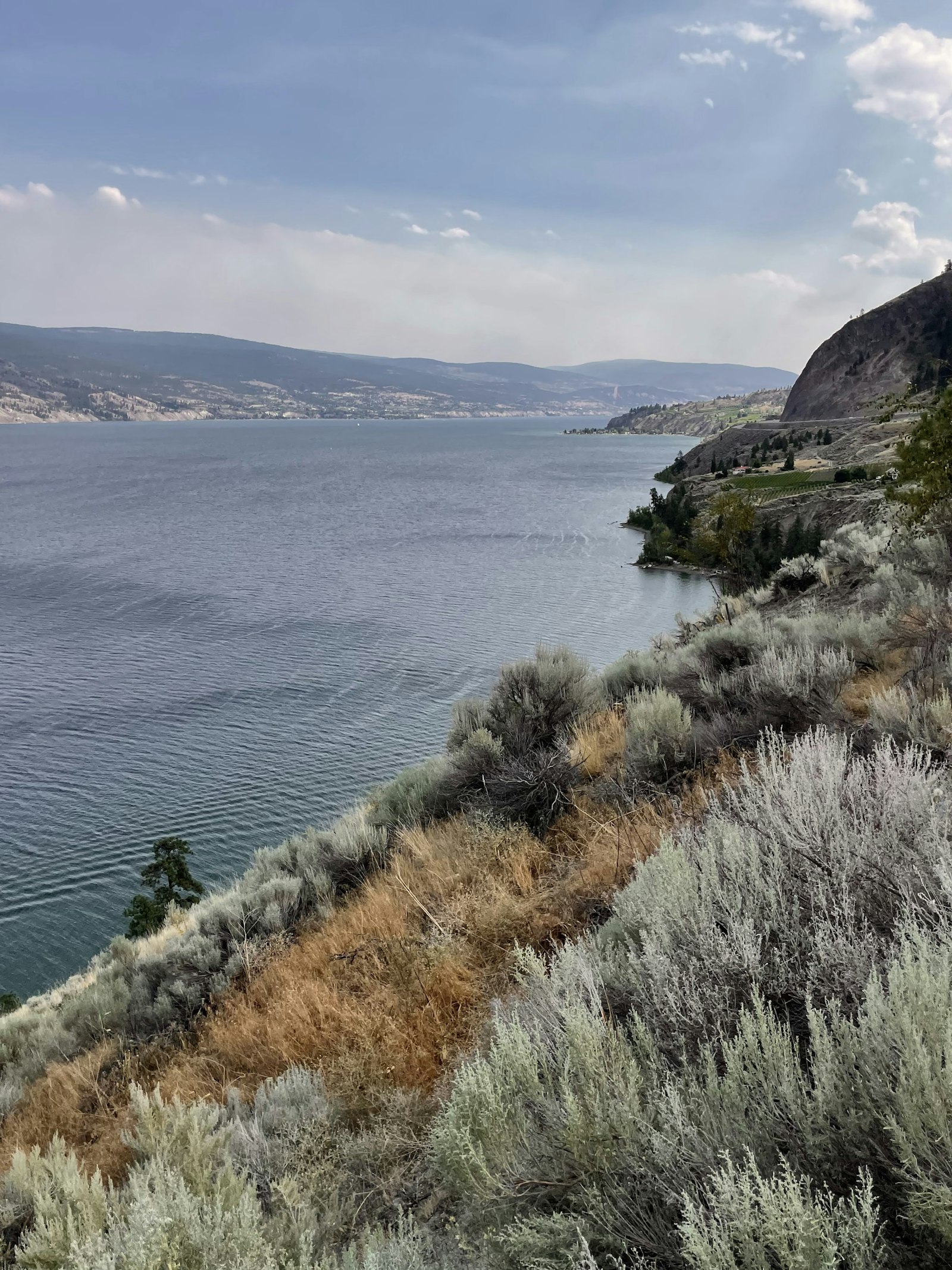 Google Business Profile Basics for Summerland Owners
