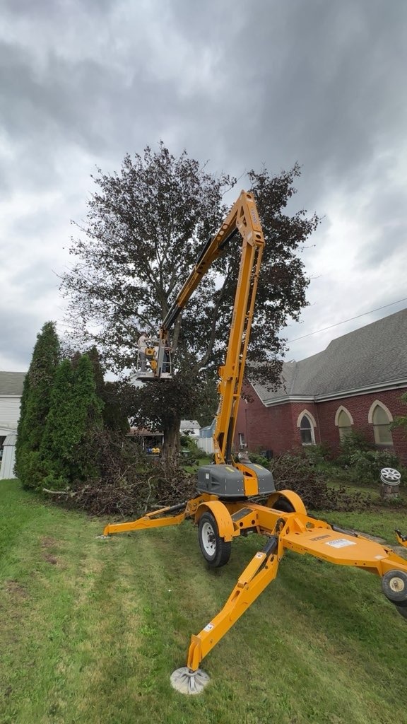 Precision Grounds Tree Service crew trimming a large tree from an aerial lift in Freeland, PA