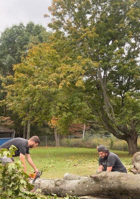 The Precision Grounds Tree Service crew cutting up a felled tree