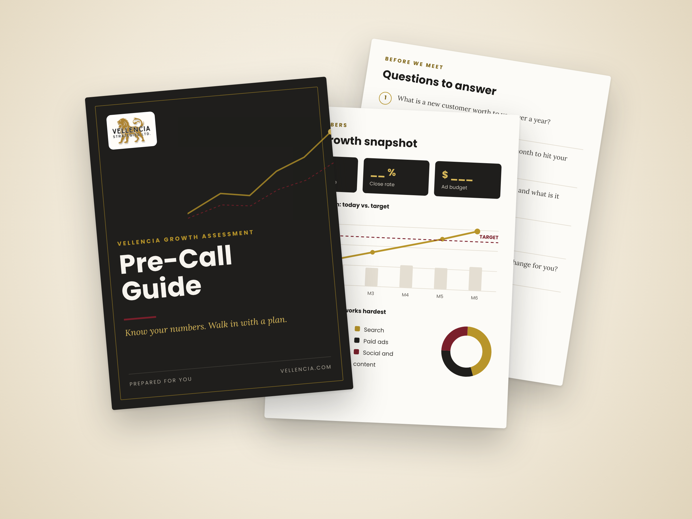 The Vellencia Pre-Call Guide binder and questions worksheet mockup