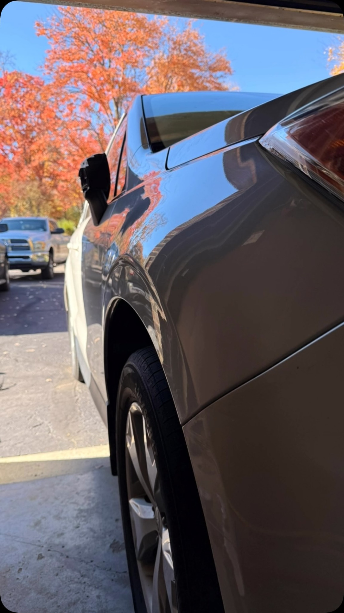 Clean Vehicle Body Panel After Reconditioning