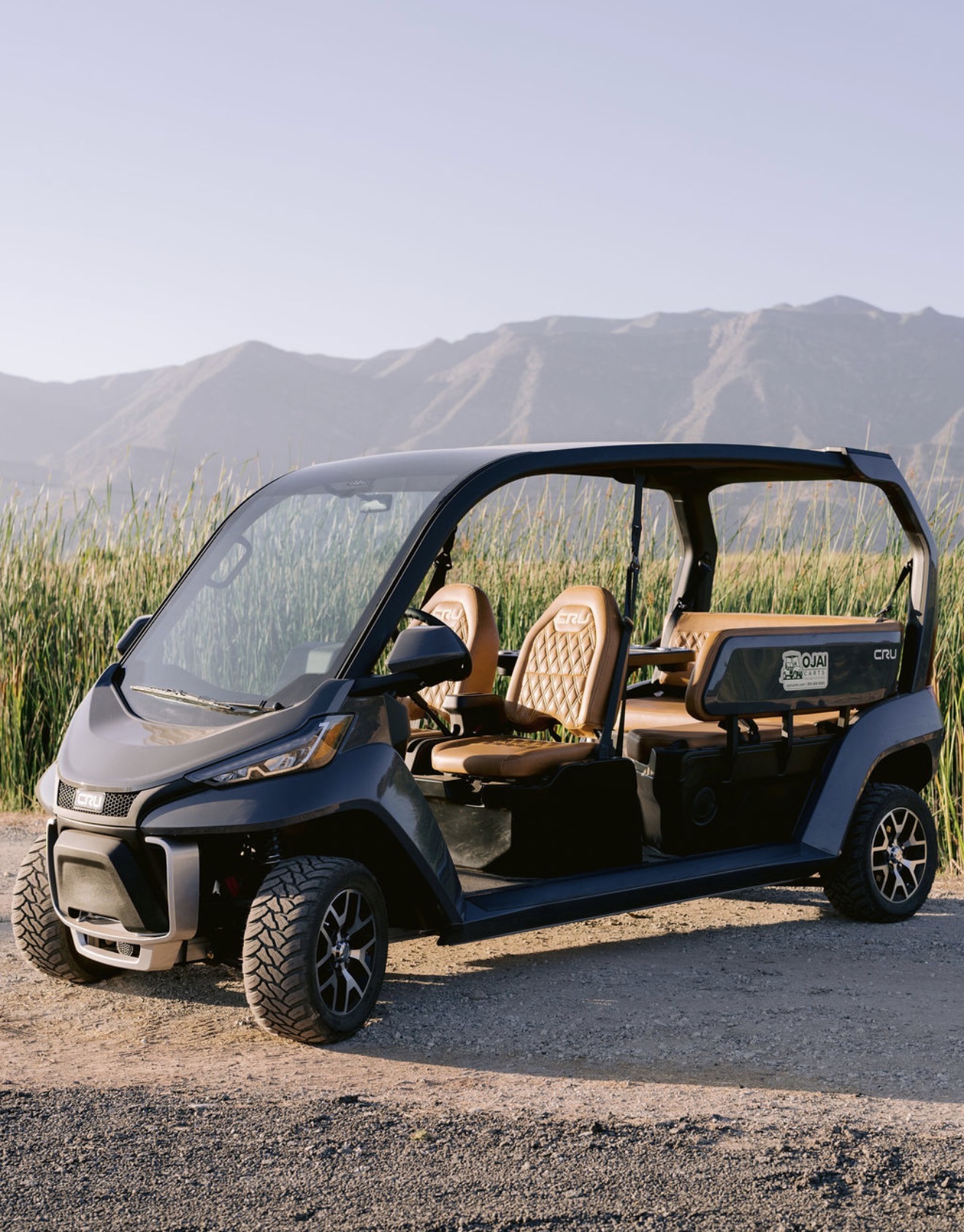 Ojai Taxi Carts luxury Club Car CRU electric vehicle in front of Ojai mountain view