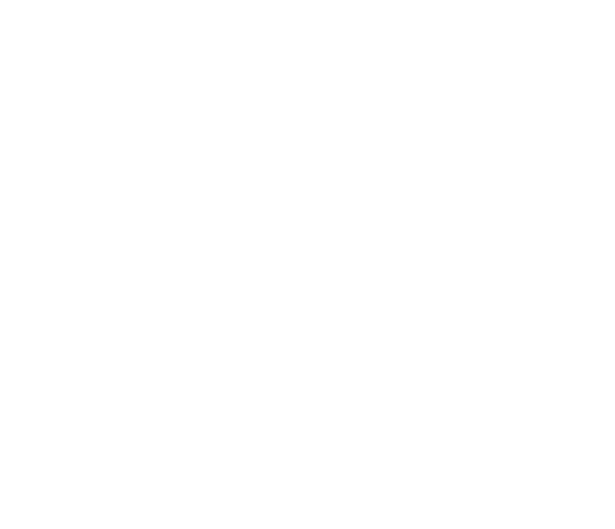 Protech Decks logo