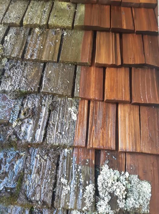 Cedar roof shakes showing weathering and moss buildup alongside cleaned wood