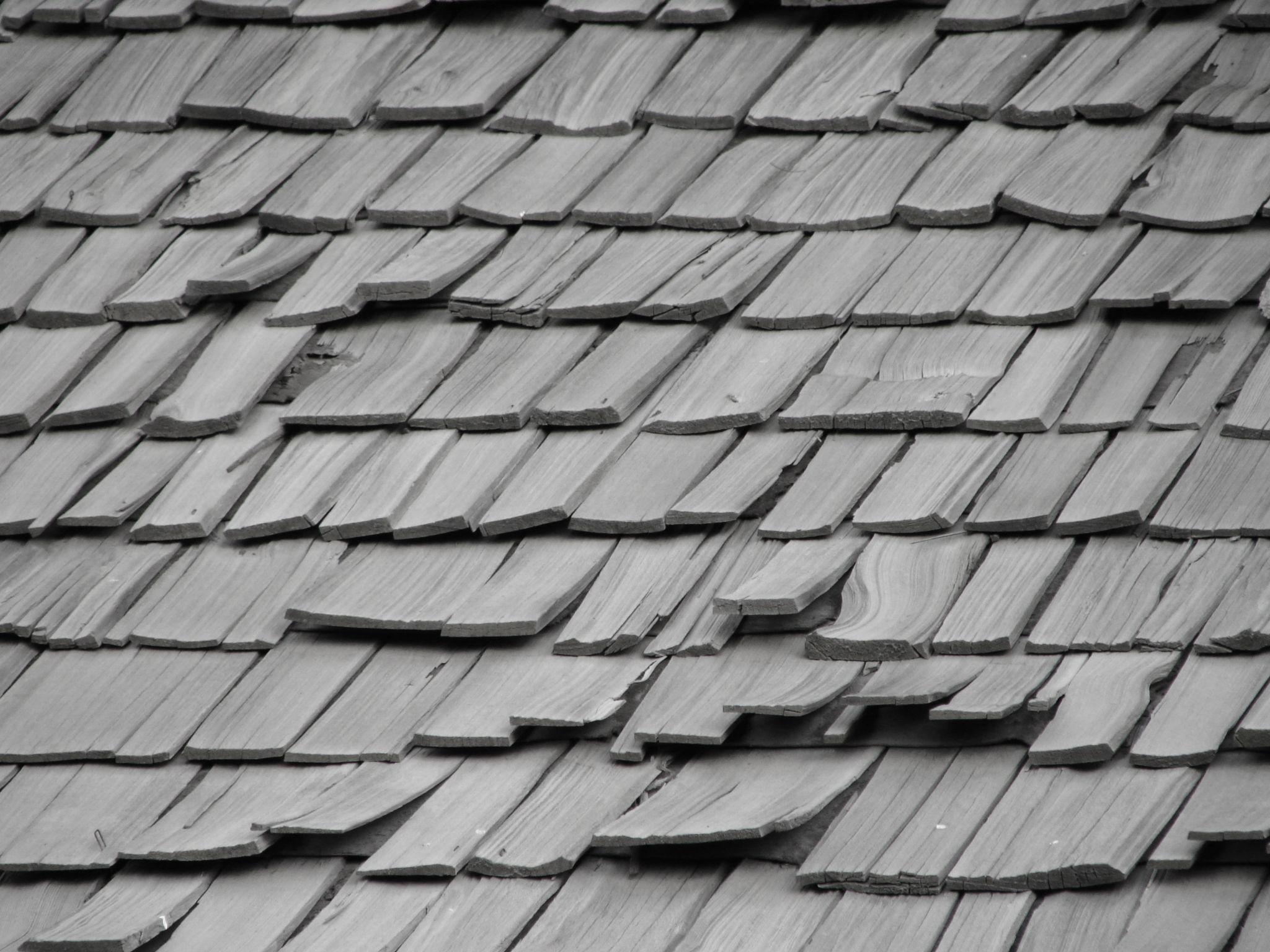 Weathered cedar roof shakes with curled and lifted edges
