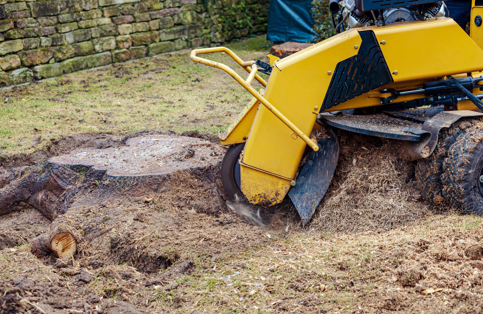 Stump Grinding