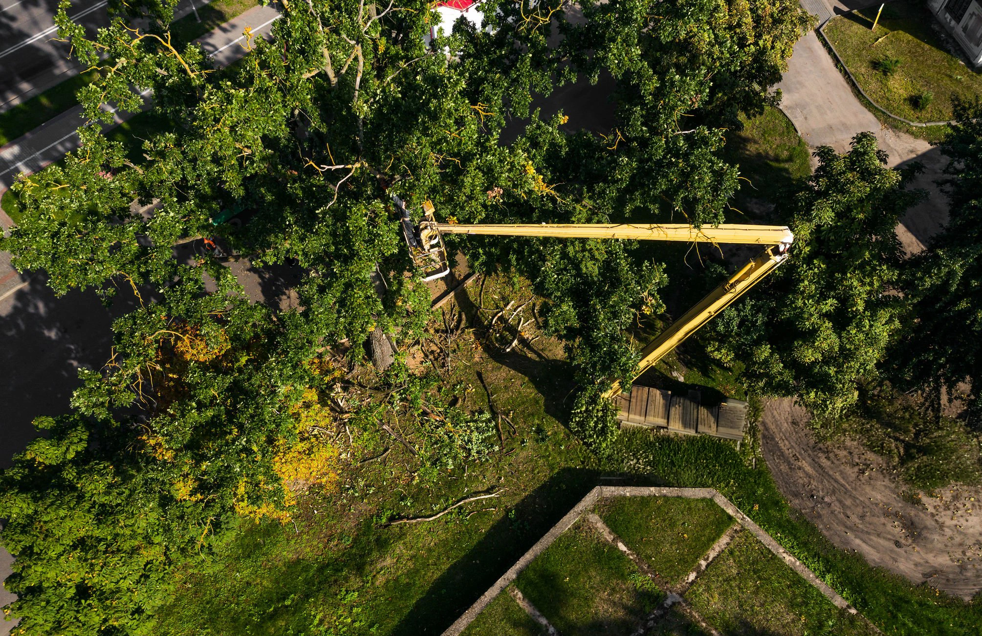 Tree service crew trimming branches around a residential property in Orange County FL