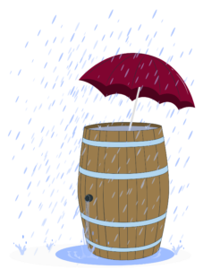 Full Barrel - Stabile Energie und Resilienz