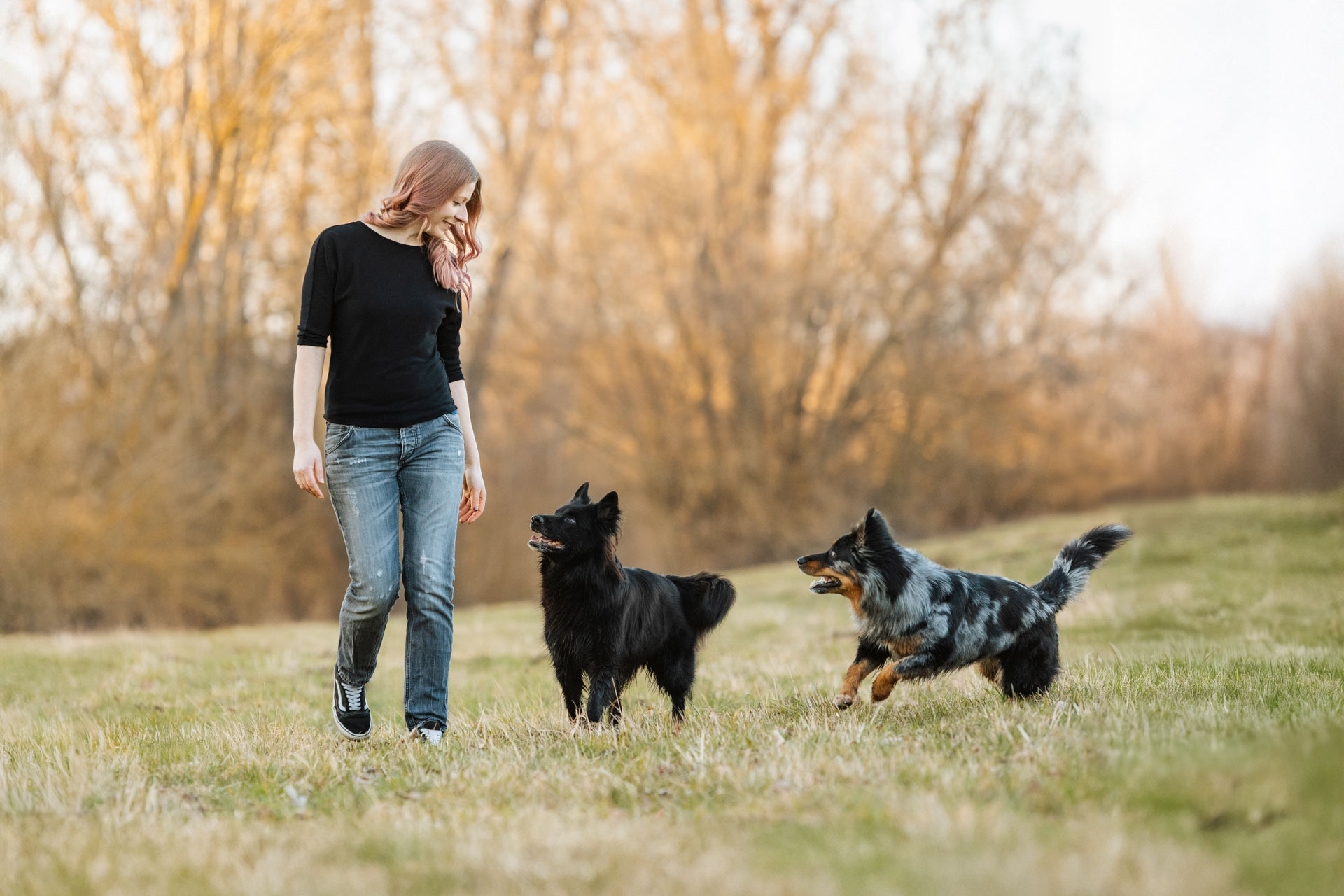 Caro draußen auf der Wiese im Training mit zwei Hunden