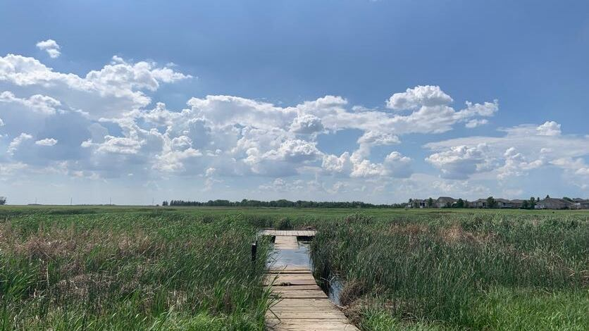 McKell Wascana Conservation Boardwalk