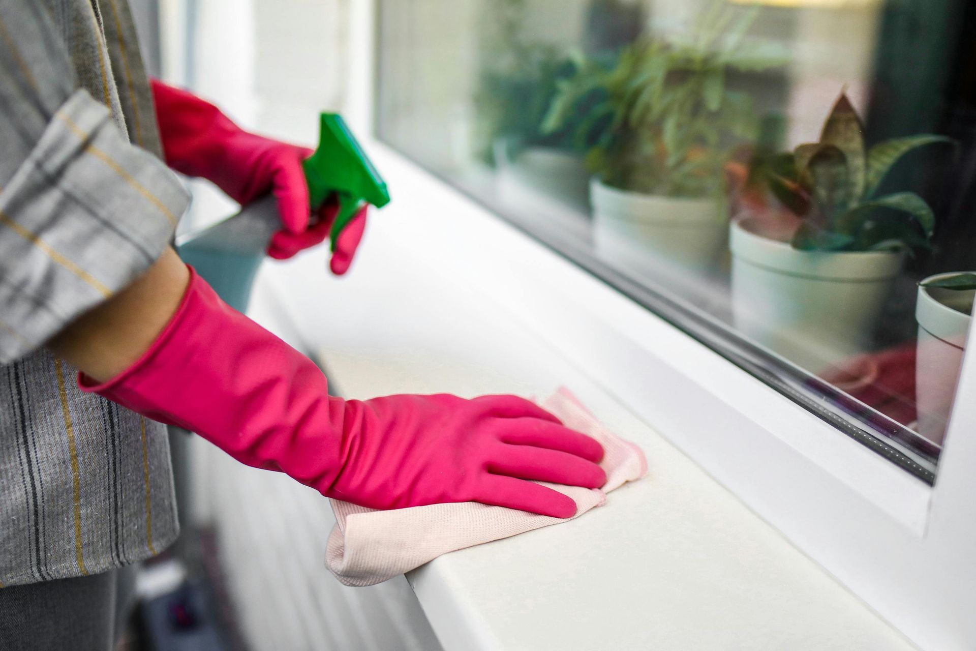DISINFECTION SERVICES