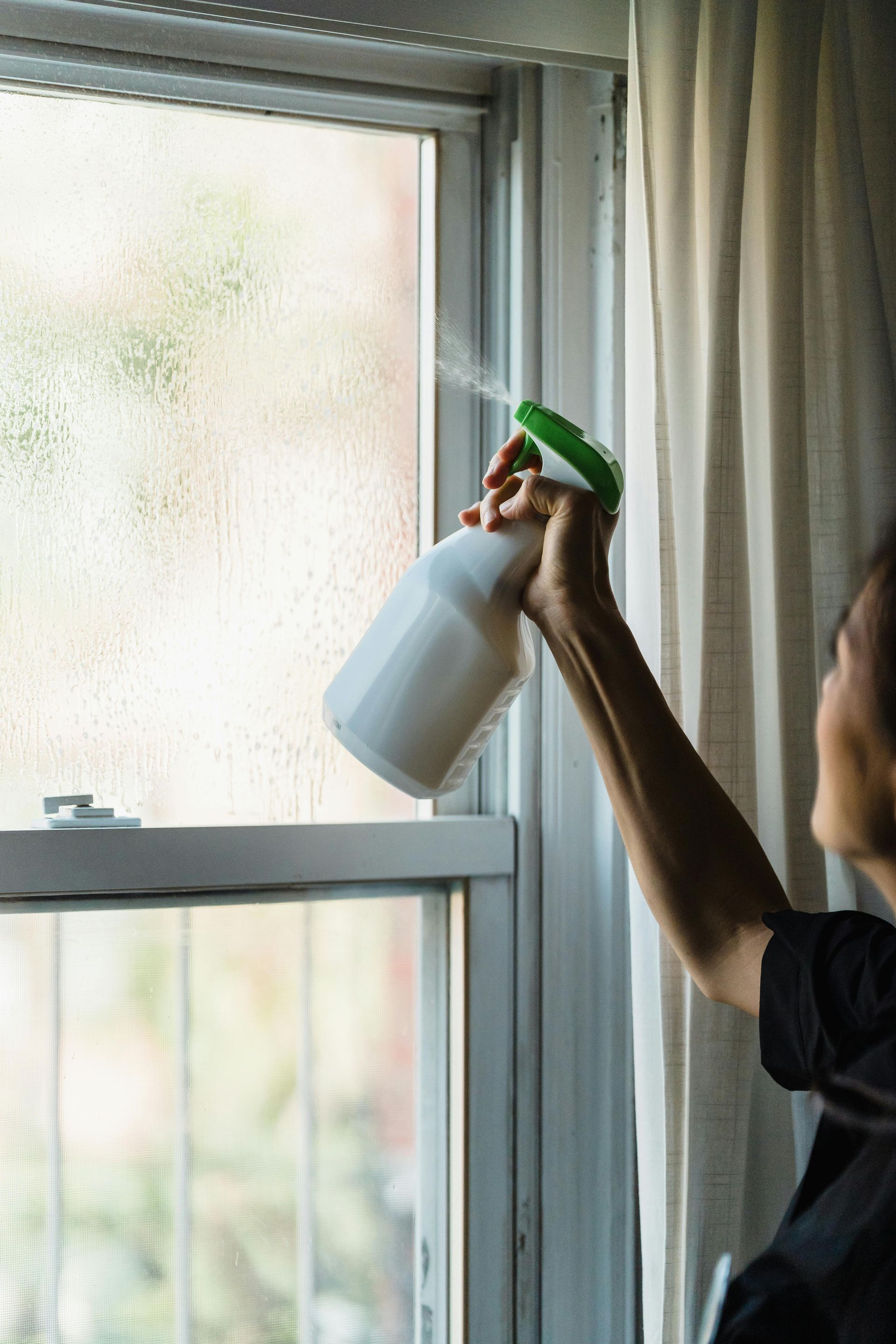 WINDOW CLEANING