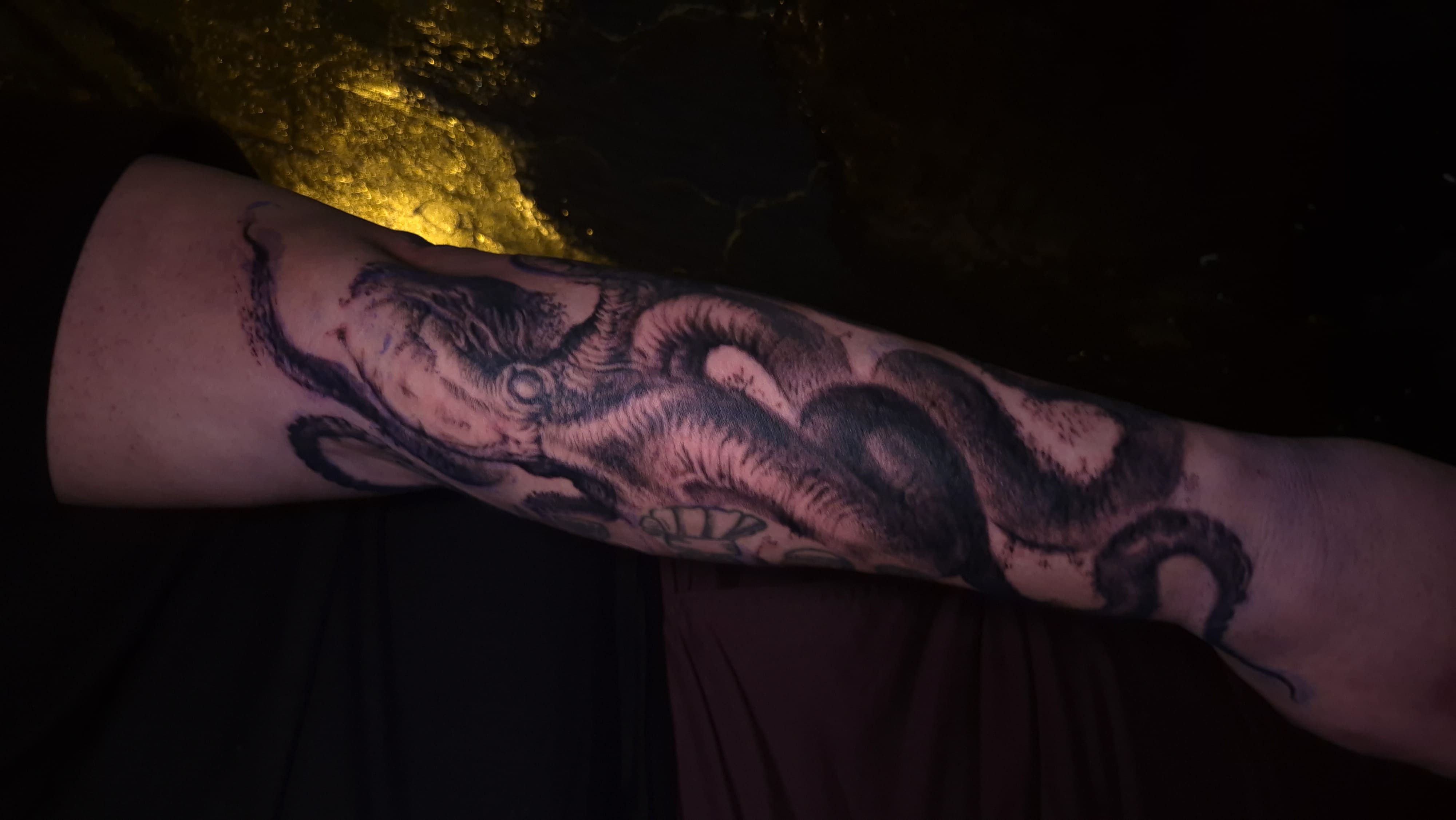 Polvo Kraken — Antebraço