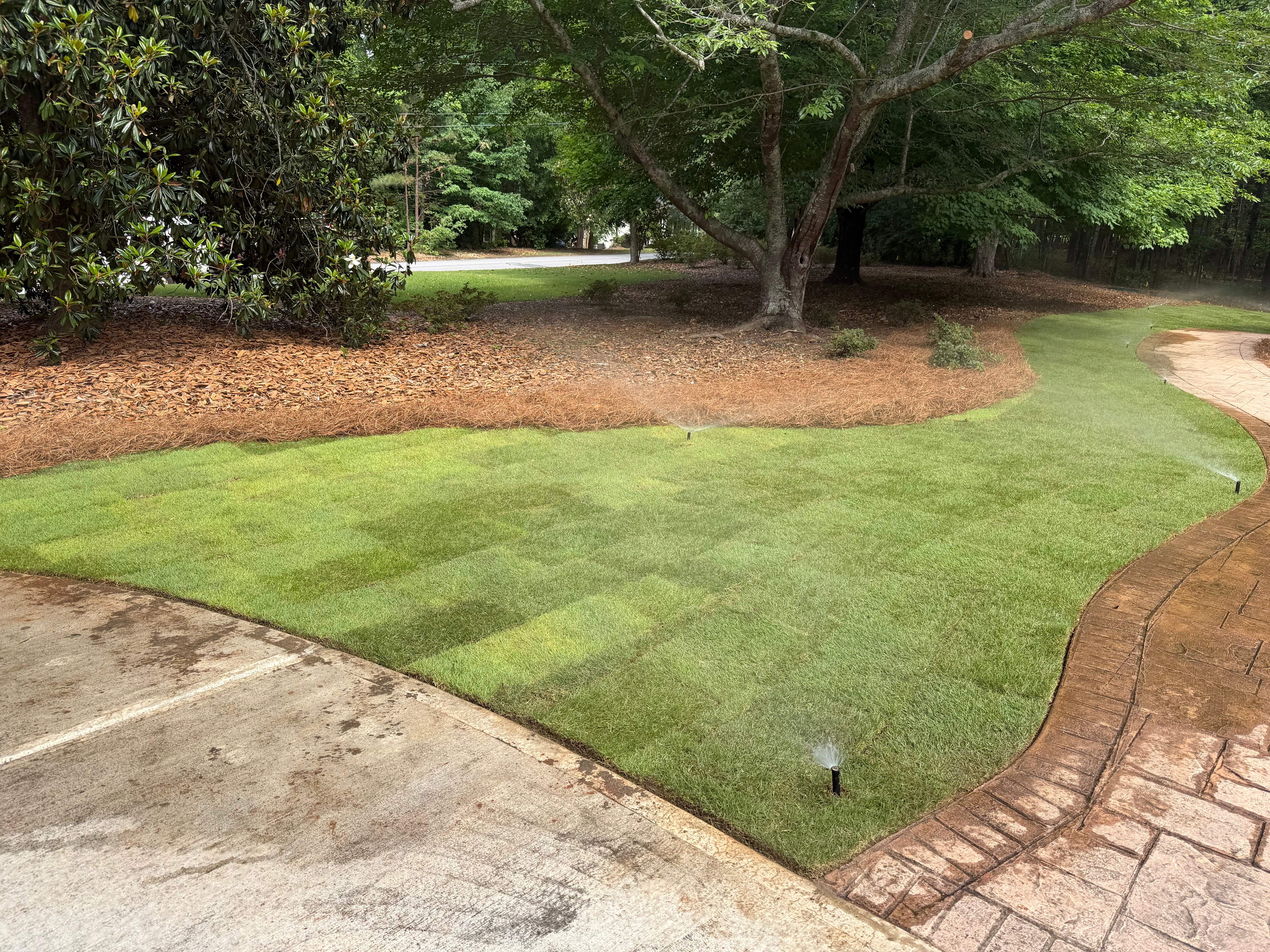 A landscape bed refreshed with mulch in the Oconee County area.