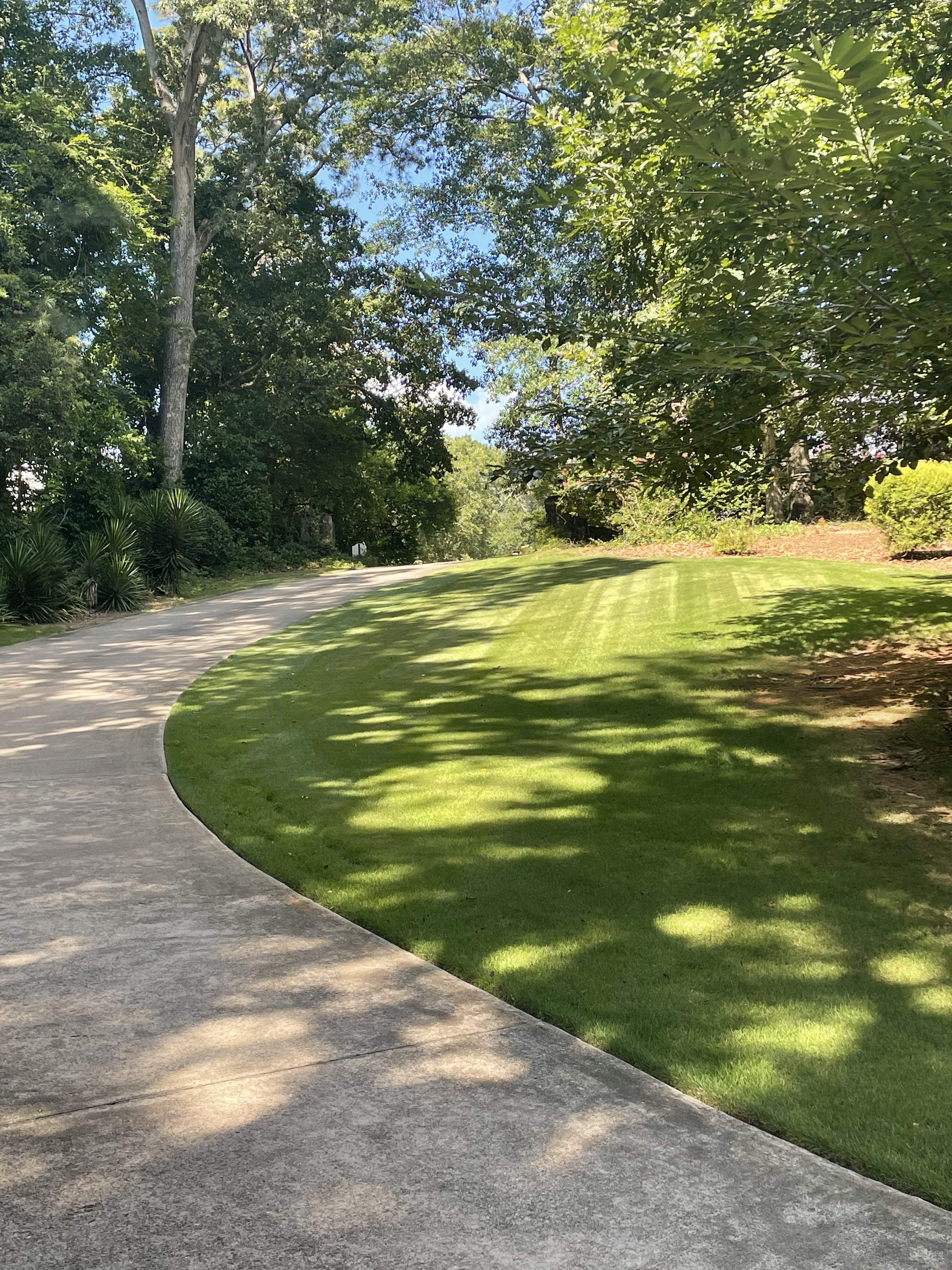Mowed and striped lawn along a driveway in the Oconee County area.