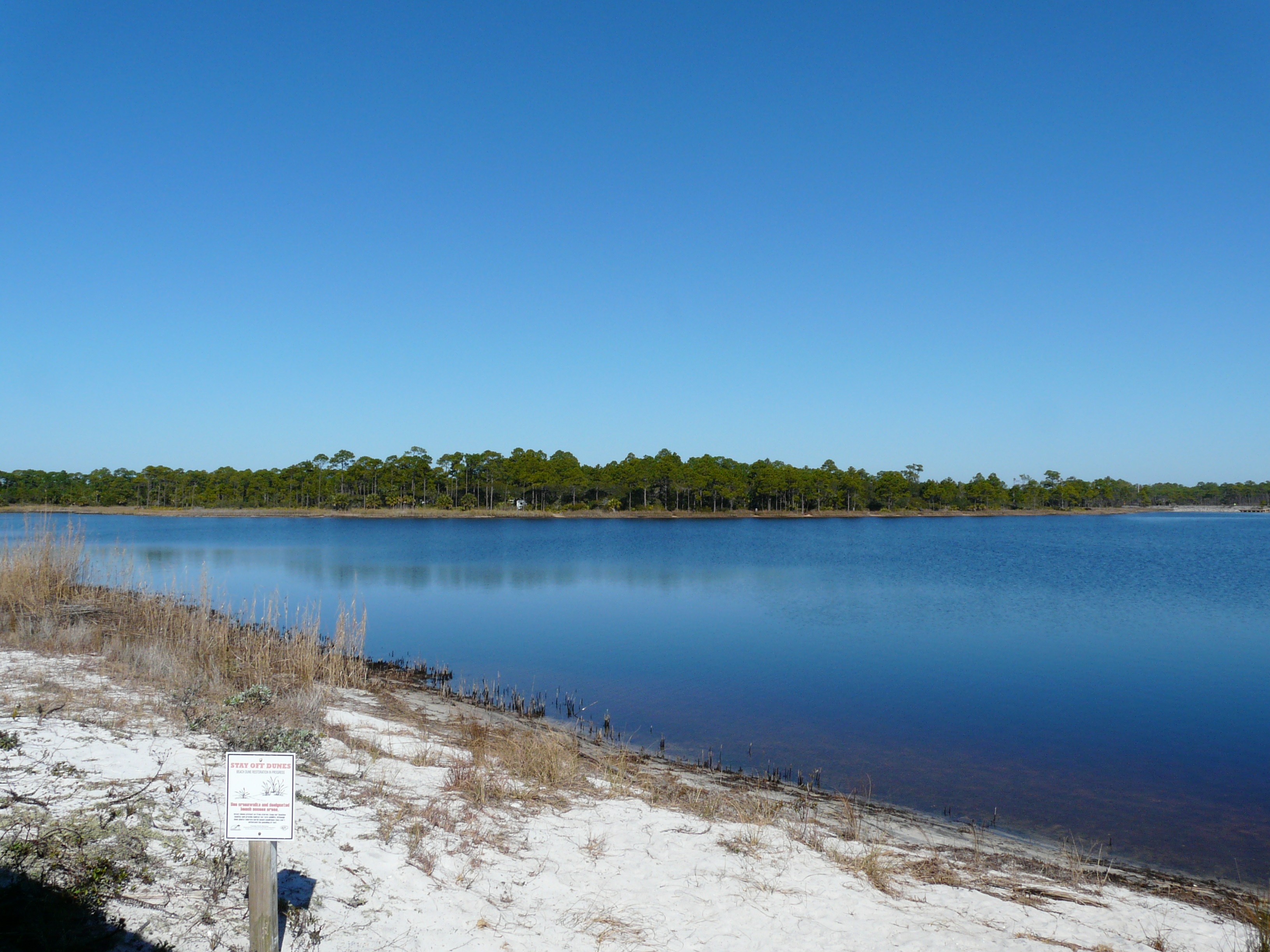 Western Lake, a coastal dune lake at Grayton Beach State Park, Florida