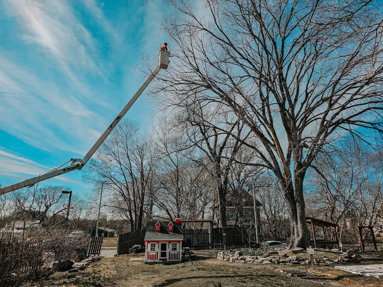 Paid Arborist Consultation — Reliable Tree Service LLC