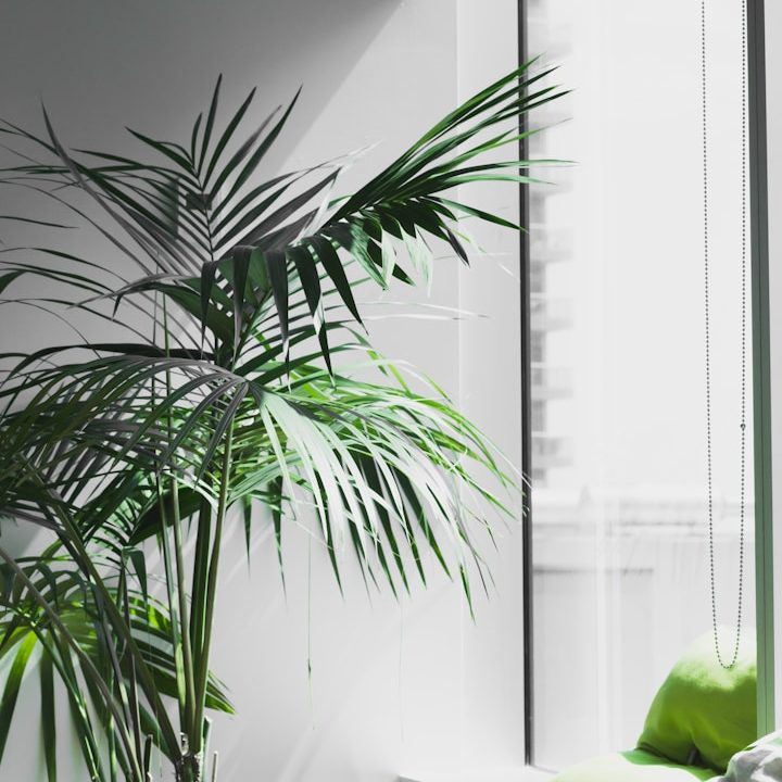 Carbon Credits Programmes
