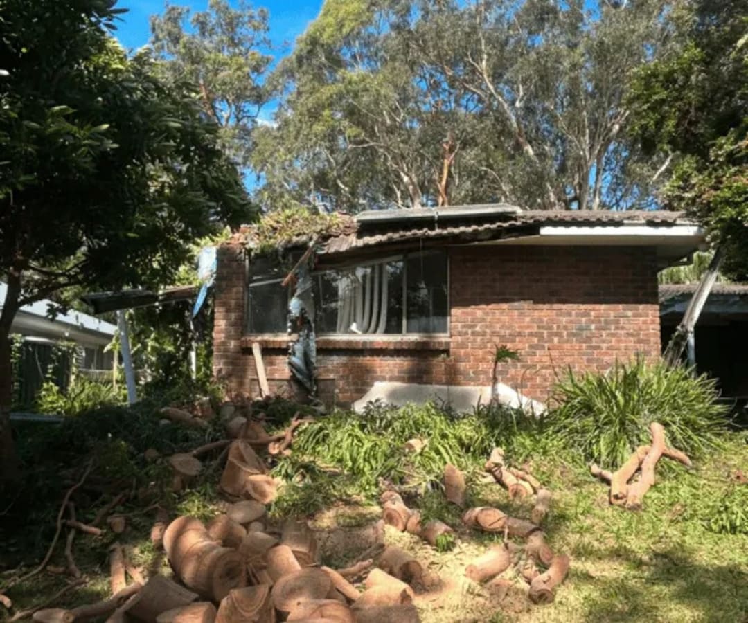 Tree lopping and cut log rounds cleared on residential property in Wyee