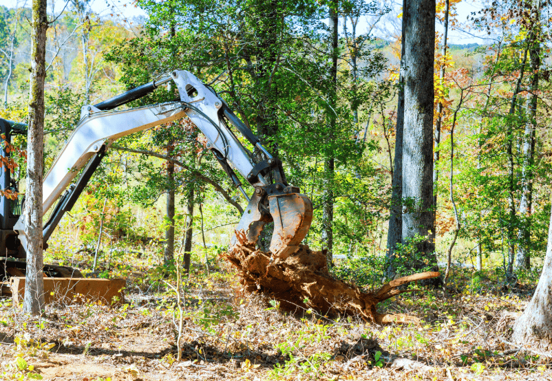 Excavator with root grapple removing large tree stump in Liverpool