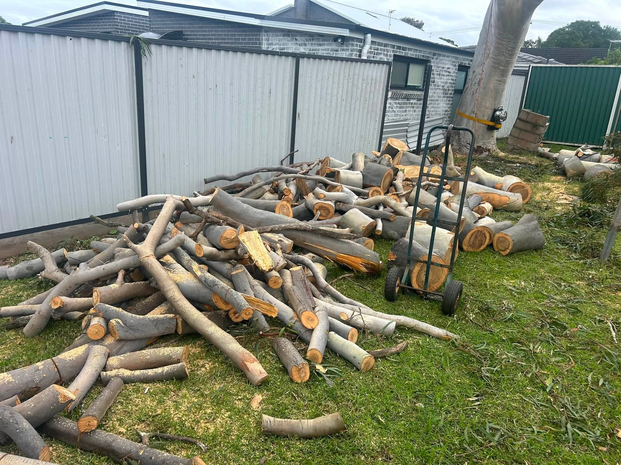 Cut logs and felled tree branches neatly stacked on residential lawn in Balcolyn