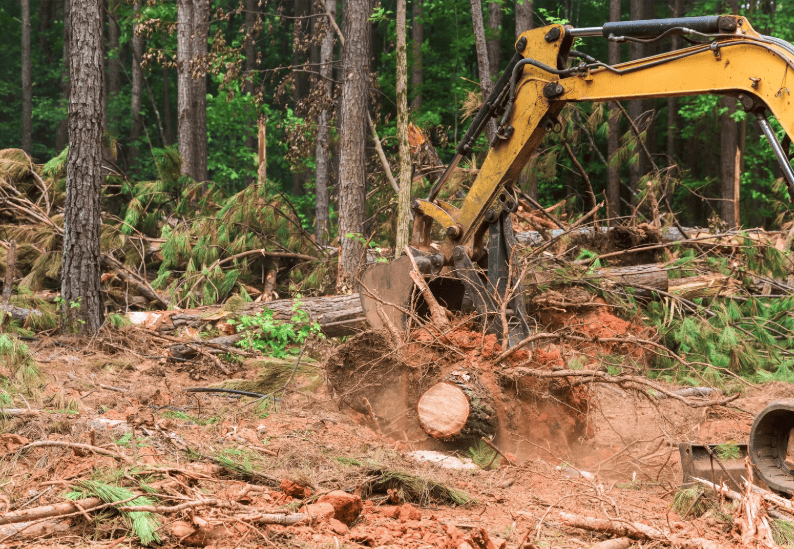Excavator clearing tree stump and roots on site in Campbelltown