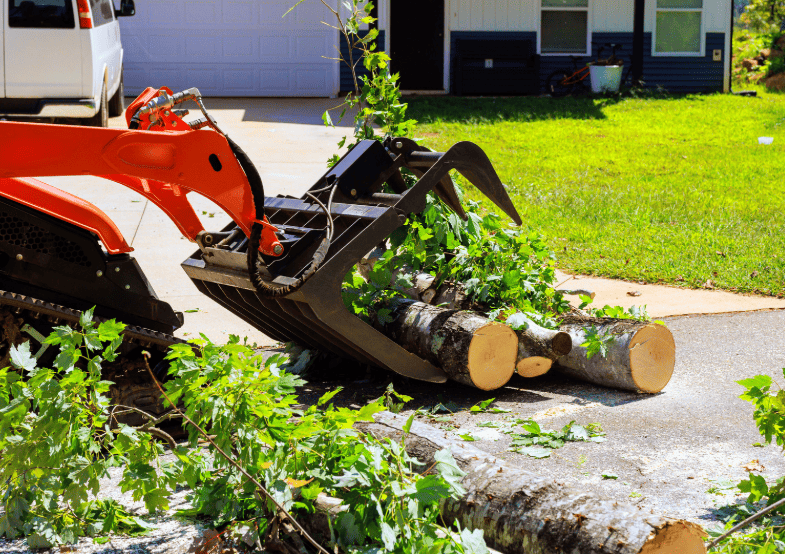 Compact loader with grapple attachment clearing tree logs and branches on residential driveway in Lake Macquarie