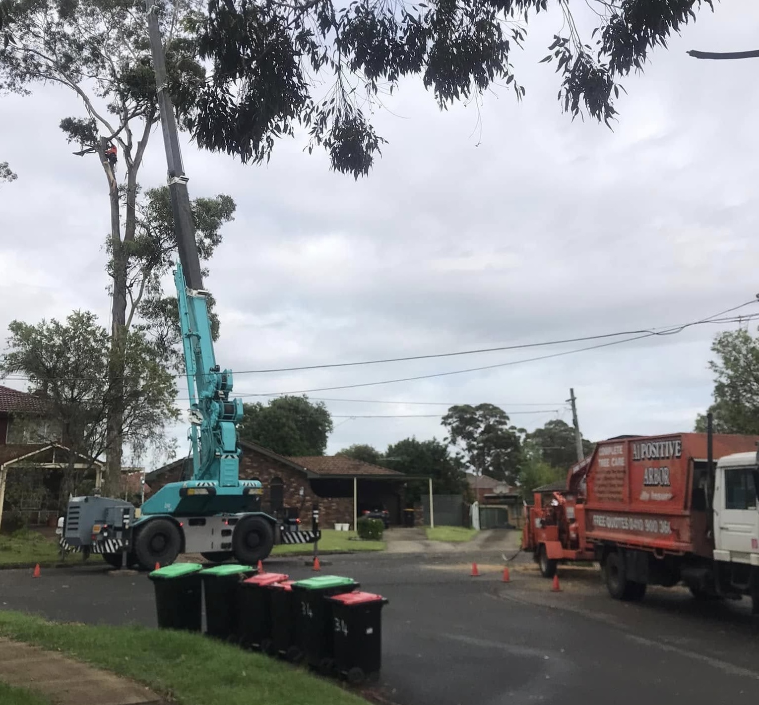 Crane and tree care truck working on residential tree removal in Balcolyn