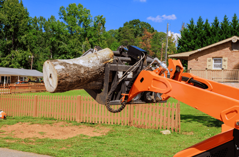 Heavy equipment moving large felled tree log away from fence line