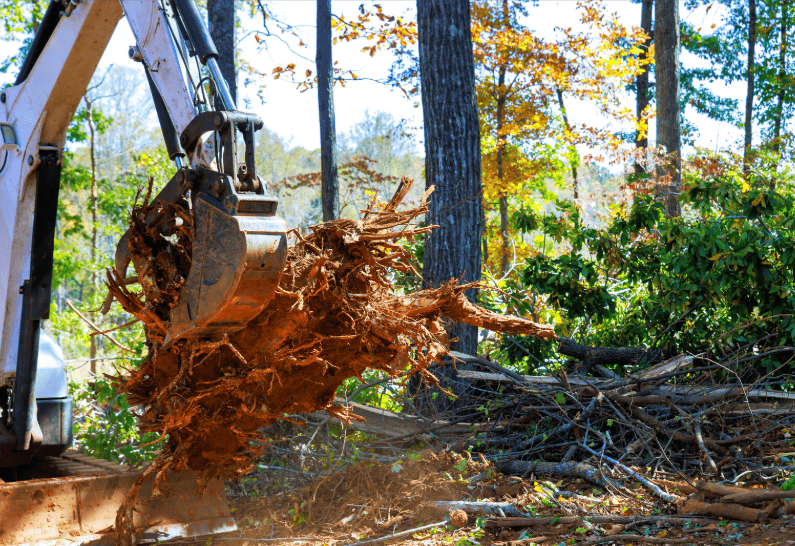 Heavy excavator with claw attachment clearing tree stump and roots in Castle Hill