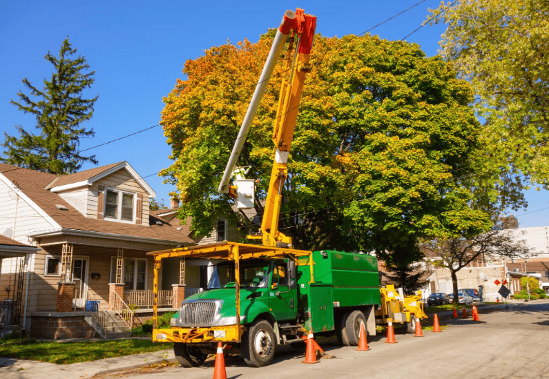 Arborist bucket lift truck pruning high tree canopy on residential street in Hurstville