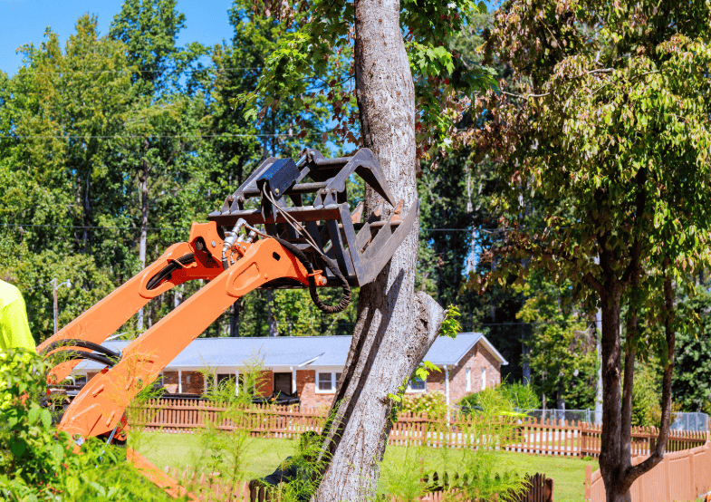 Mechanical claw attachment dismantling tree trunk on residential block in Fairfield
