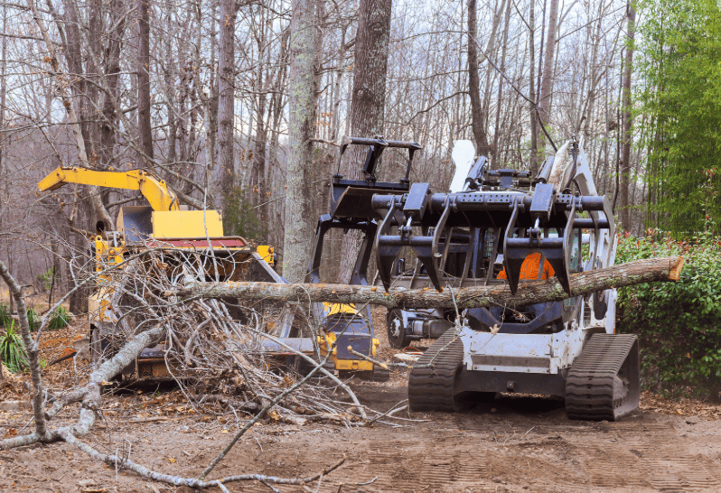 Heavy equipment moving felled tree log and wood chipper in Campbelltown