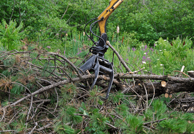 Mechanical excavator grab clearing branches and felled tree in Liverpool