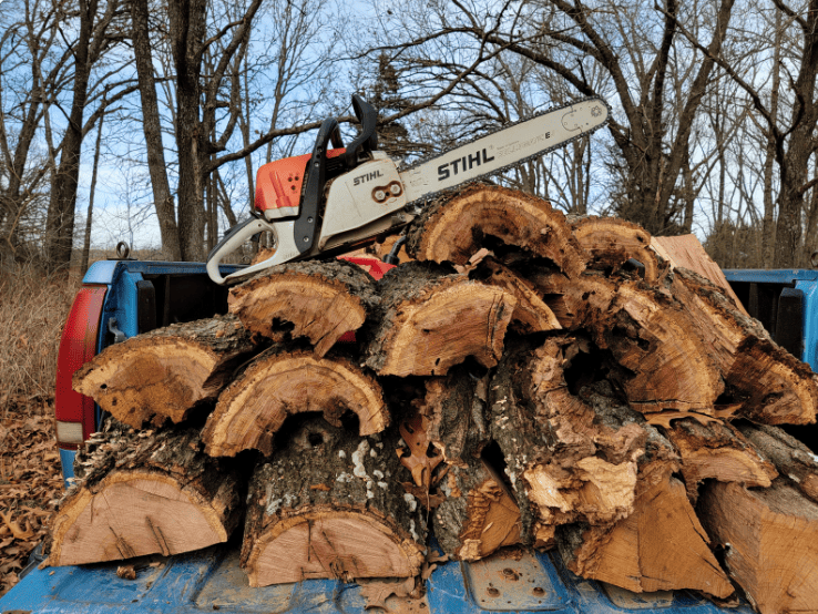Chainsaw on cut tree logs and timber in truck bed in Fairfield