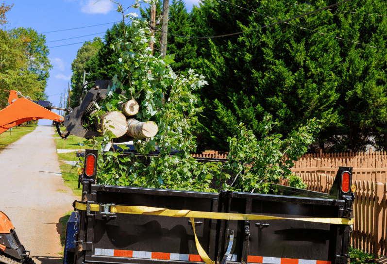 Heavy loader moving cut tree logs and branches into truck bed in Hurstville