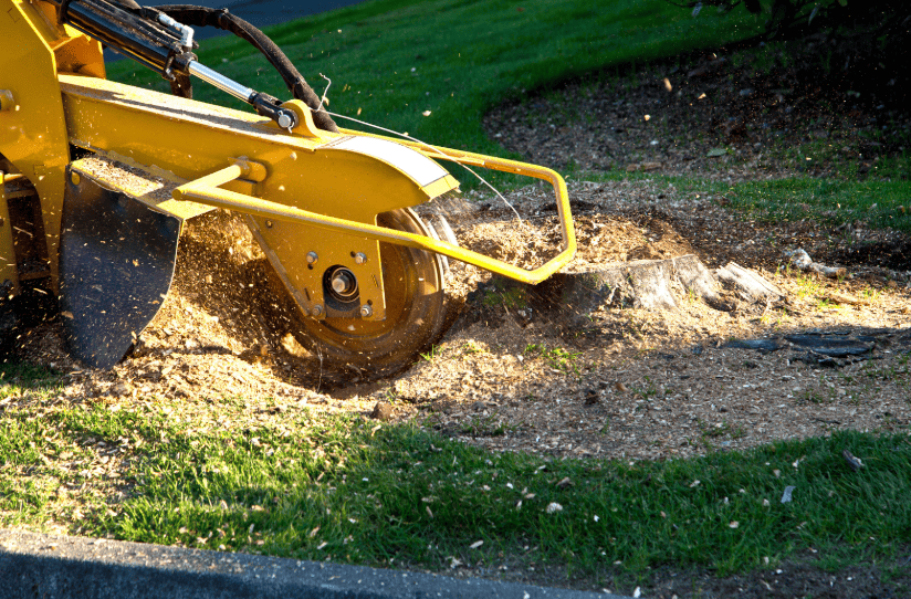 Commercial stump grinder machine grinding a tree stump down below ground level