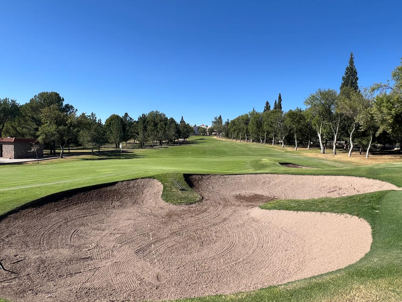Campestre Chihuahua — Búnker de arena modelado con precisión y fairways arbolados