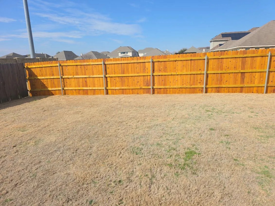 Fence Staining & Protective Painting