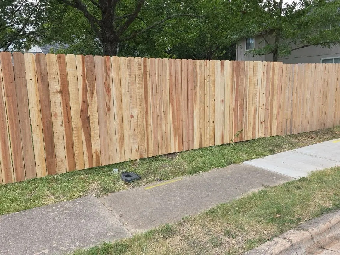 Expert Fence Repairs & Restoration
