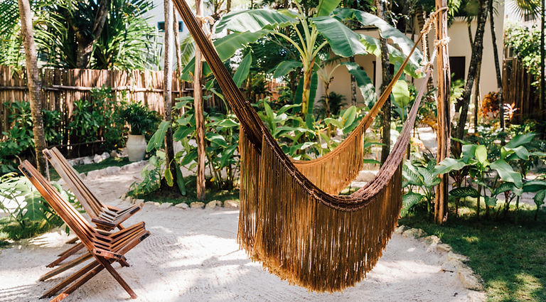 Tropical Hotel luxury sun loungers and hammock
