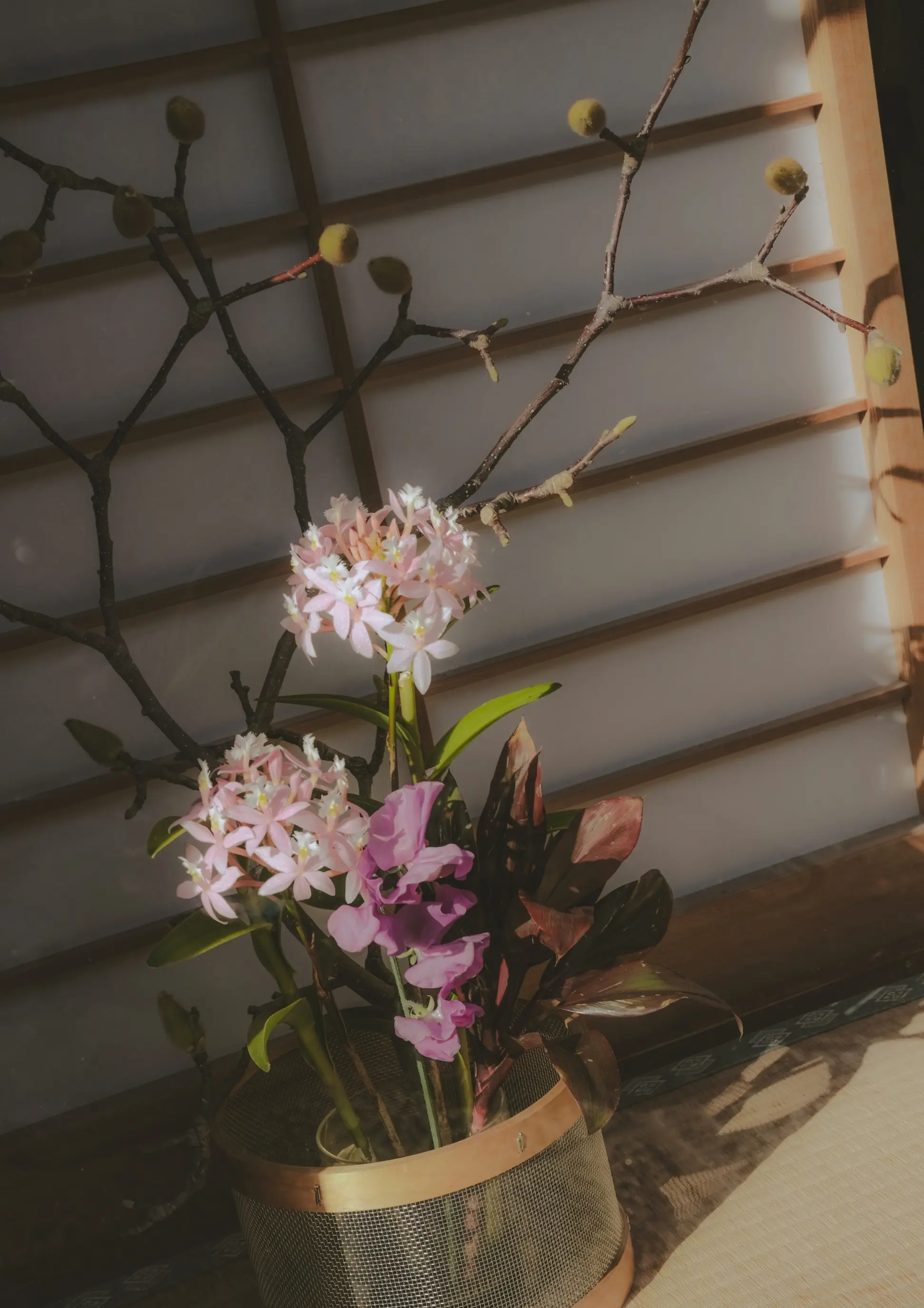 Ikebana floral arrangement of soft pink orchid blossoms and budding branches against shoji screen