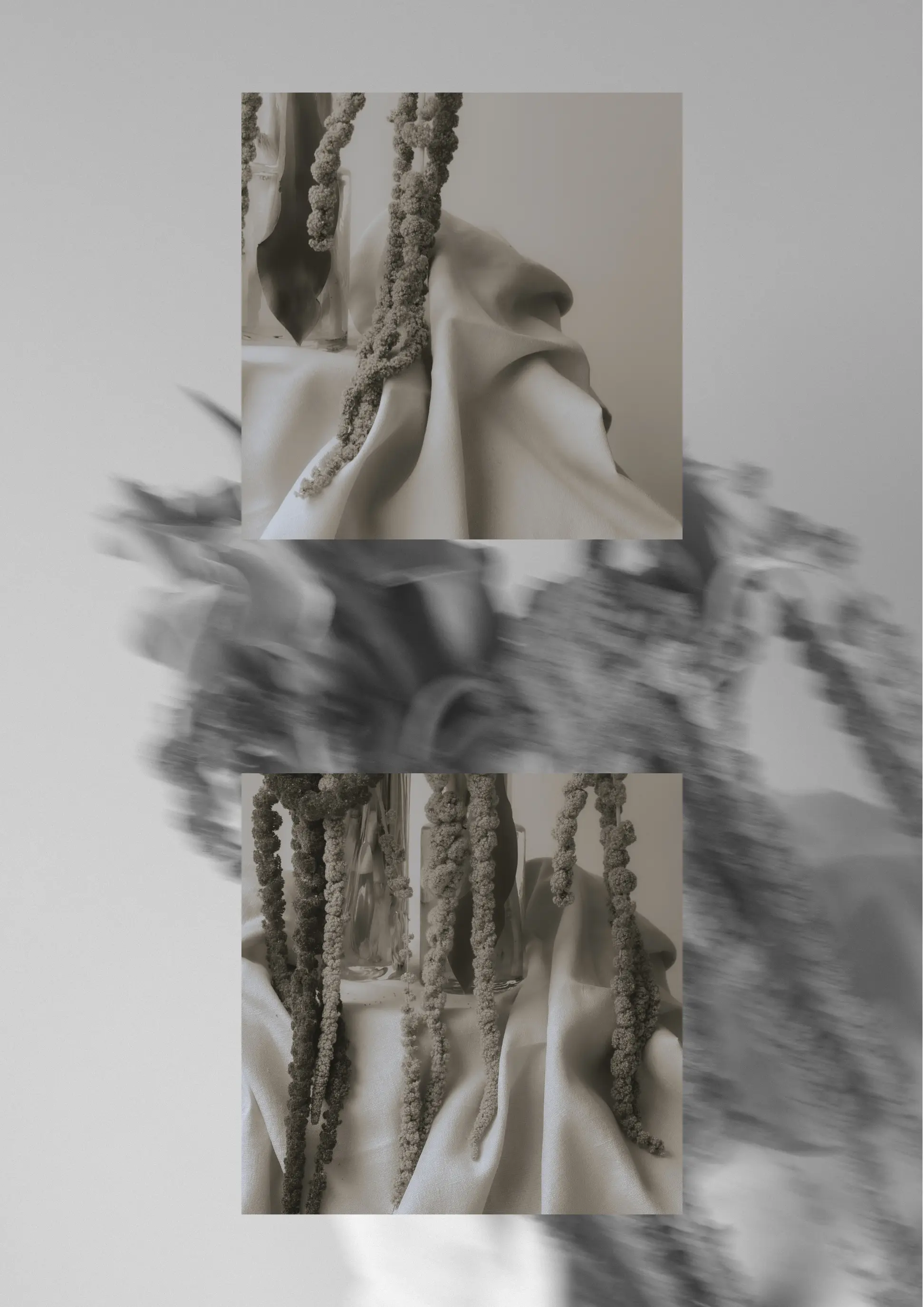 Sculptural botanical diptych with cascading textured amaranth stems and draped silk textile